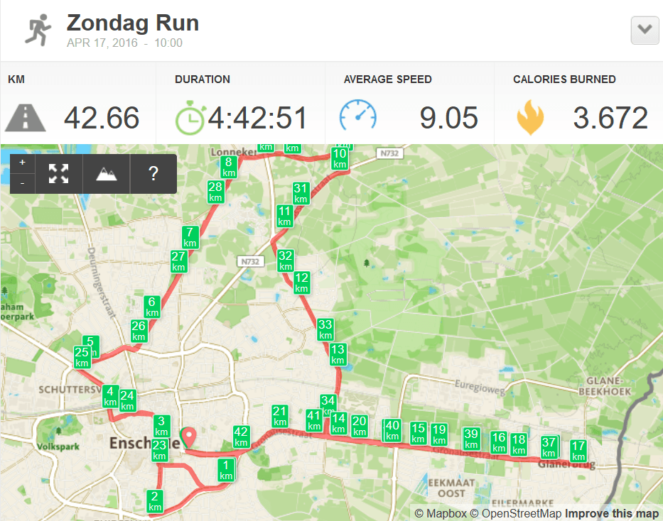 Mijn eerste marathon - Enschede 42k - Run Han Run