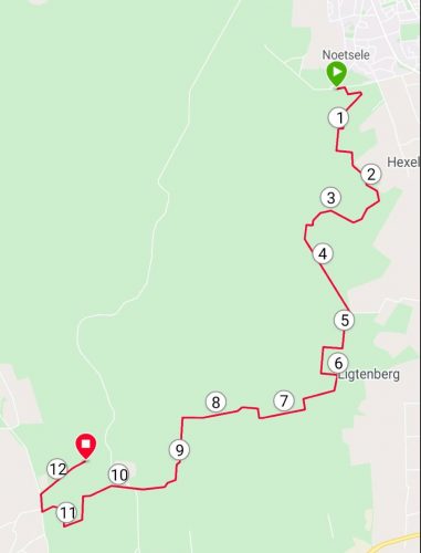 Trailrunnen Sallandse Heuvelrug - training Rothaarsteig Marathon - RunHanRun (6)