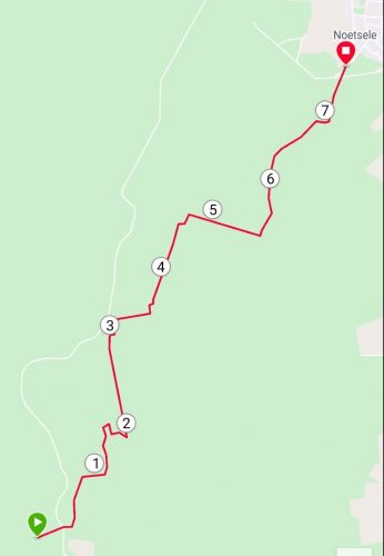 Trailrunnen Sallandse Heuvelrug - training Rothaarsteig Marathon - RunHanRun (8)